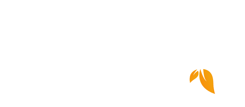 Bolmuş logosu